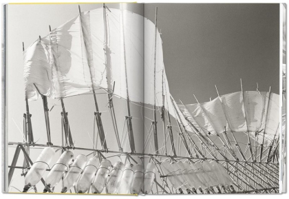 Lena Herzog. Strandbeest. The Dream Machines of Theo Jansen - фото 6 Lena Herzog. Strandbeest. The Dream Machines of Theo Jansen - фото 6