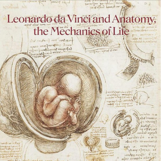 Leonardo da Vinci and Anatomy. The Mechanics of Life