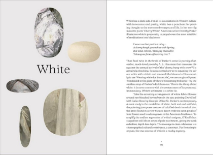 The Art of Colour. The History of Art in 39 Pigments - фото 10