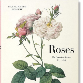 Redoutе. Roses