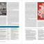 The History of Asian Art. A Global View - фото 7