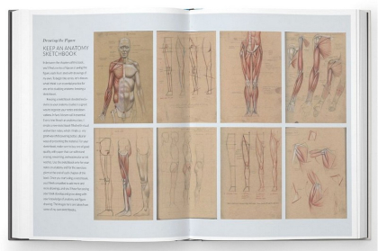 Basic Human Anatomy. An Essential Visual Guide for Artists - фото 3