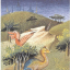 The Grand Medieval Bestiary - фото 4