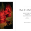 Enchanted. A History of Fantasy Illustration - фото 2