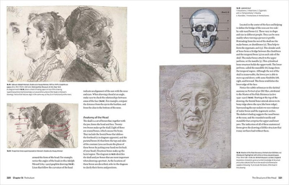 Drawing. A Complete Guide - фото 8 Drawing. A Complete Guide - фото 8