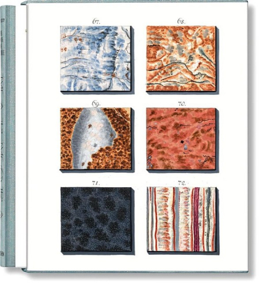 Jan Christiaan Sepp. The Book of Marble - фото 1