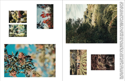 Louis Vuitton. A Perfume Atlas - фото 5