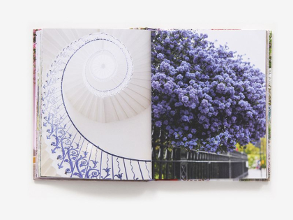 London in Bloom - фото 2