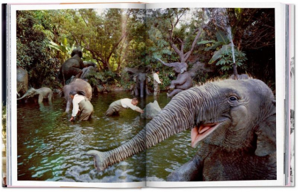 Walt Disney&rsquo;s Disneyland - фото 3