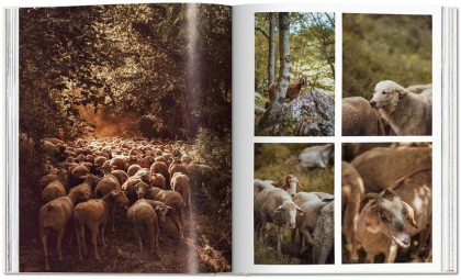 Remote Experiences. Extraordinary Travel Adventures from North to South - фото 5