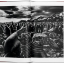 Sebastiao Salgado. Genesis - фото 2