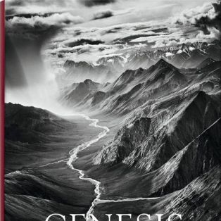 Sebastiao Salgado. Genesis