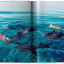 Michael Muller. Sharks - фото 3