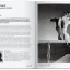 Photo Icons. 50 Landmark Photographs and Their Stories - фото 5