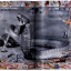 Peter Beard - фото 2