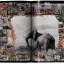 Peter Beard - фото 4
