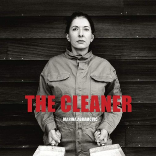 The Cleaner