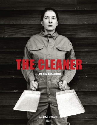 The Cleaner - фото 1