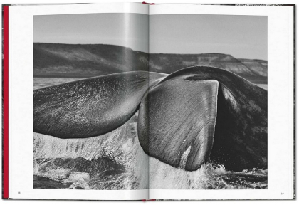 Sebastiao Salgado. Genesis - фото 3