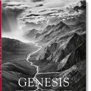 Sebastiao Salgado. Genesis