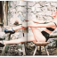 Ellen von Unwerth. Heimat - фото 6