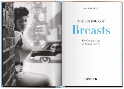 The Little Big Book of Breasts - фото 2