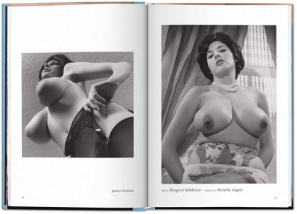 The Little Big Book of Breasts - фото 3