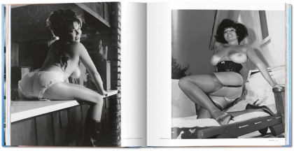 The Big Book of Breasts - фото 3
