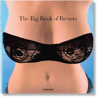 The Big Book of Breasts - фото 1