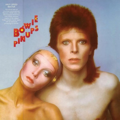 David Bowie &ndash; Pinups - фото 1