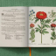 Basilius Besler. The Garden at Eichst&bdquo;tt - фото 10