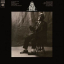 Willie Dixon &ndash; I Am The Blues - фото 1
