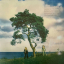 First Aid Kit &ndash; Palomino - фото 3