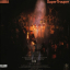 ABBA &ndash; Super Trouper - фото 2