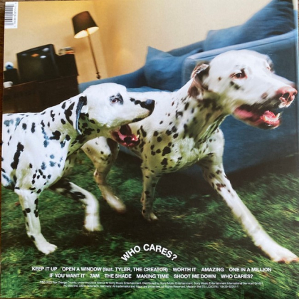 Rex Orange County &ndash; Who Cares? - фото 2