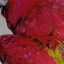 Christophe Willem &ndash; Rio - фото 2