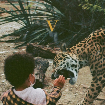 Unknown Mortal Orchestra &ndash; V - фото 1