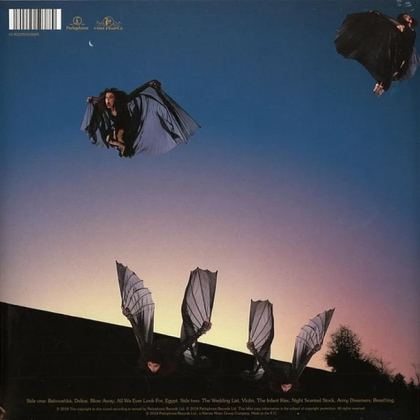 Kate Bush &ndash; Never For Ever - фото 2