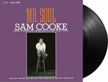 Sam Cooke &ndash; Mr. Soul - фото 3