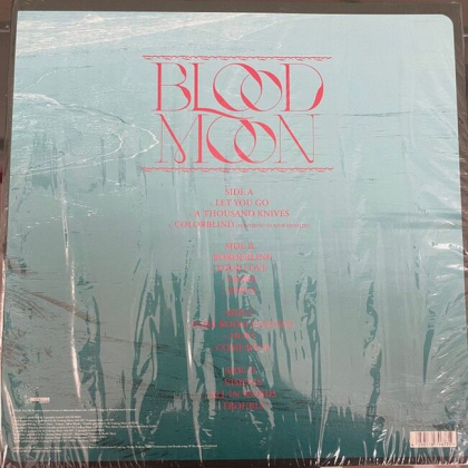 RY X &ndash; Blood Moon - фото 2