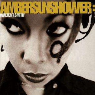 Ambersunshower – Walter T. Smith 