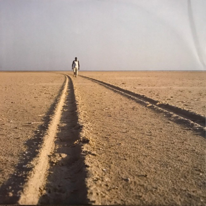 A Guy Called Gerald &ndash; To All Things What They Need - фото 8