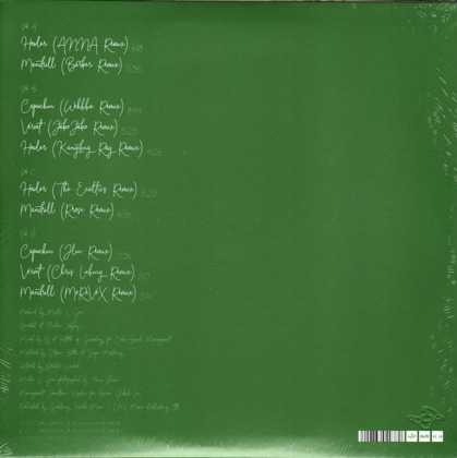 Martin Gore – The Third Chimpanzee Remixed - фото 2 Martin Gore – The Third Chimpanzee Remixed - фото 2