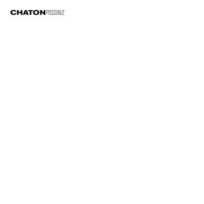 Chaton &ndash; Possible - фото 1