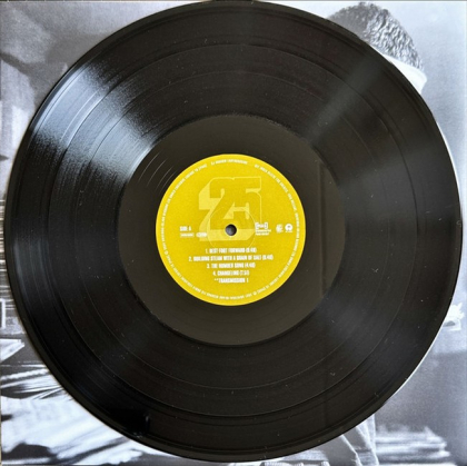 DJ Shadow &ndash; Endtroducing..... - фото 5