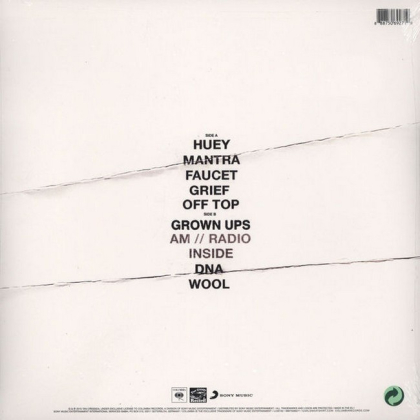 Earl Sweatshirt &ndash; I Don&#039;t Like Shit, I Don&#039;t Go Outside - фото 2