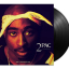2Pac &ndash; Rap &amp; Revolution - фото 3