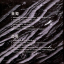 Yung Lean &ndash; Warlord - фото 2