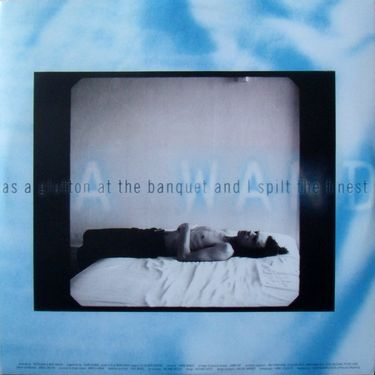 Mick Jagger - Wandering Spirit - фото 7