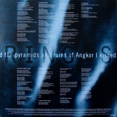 Mick Jagger - Wandering Spirit - фото 10